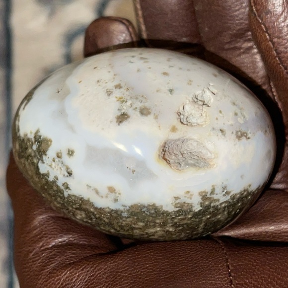 Ocean Jasper Palmstone - Picture 5 of 6